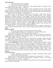 Autoriai literatūriniam rašiniui