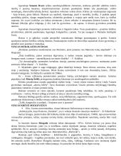 Autoriai literatūriniam rašiniui 2 puslapis