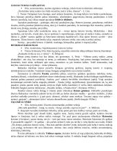 Autoriai literatūriniam rašiniui 3 puslapis