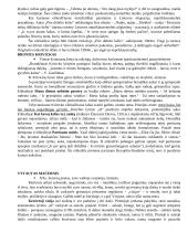 Autoriai literatūriniam rašiniui 4 puslapis