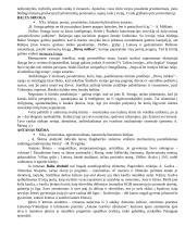 Autoriai literatūriniam rašiniui 5 puslapis