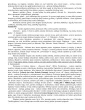 Autoriai literatūriniam rašiniui 8 puslapis