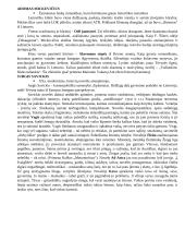 Autoriai literatūriniam rašiniui 10 puslapis