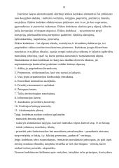 Etiniai viešojo administravimo principai 19 puslapis