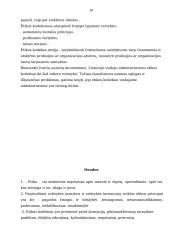 Etiniai viešojo administravimo principai 20 puslapis