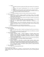 Teorija apie Adomą Mickevičių 2 puslapis