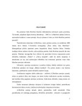 Aidas Marčėnas - kūrybos analizavimas 2 puslapis