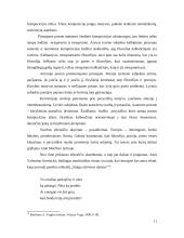 Aidas Marčėnas - kūrybos analizavimas 11 puslapis