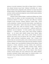 Aidas Marčėnas - kūrybos analizavimas 8 puslapis