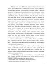 Aidas Marčėnas - kūrybos analizavimas 9 puslapis