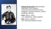 Faktai apie Antaną Baranauską 2 puslapis