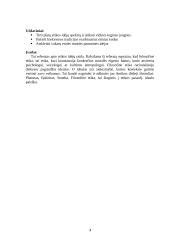 Etinis suskilimas nežinomybės akivaizdoje 3 puslapis