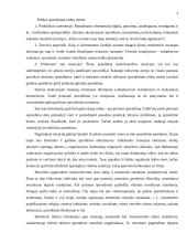 Etinių sprendimų priėmimas organizacijoje. Etinių sprendimų priėmimo modeliai 2 puslapis
