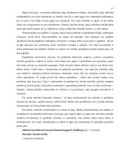 Etinių sprendimų priėmimas organizacijoje. Etinių sprendimų priėmimo modeliai 16 puslapis