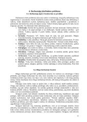 Etninės problemos prekybos organizacijoje 11 puslapis