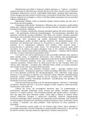 Etninės problemos prekybos organizacijoje 15 puslapis