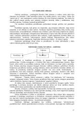 Etninės problemos prekybos organizacijoje 17 puslapis