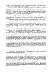 Etninės problemos prekybos organizacijoje 18 puslapis