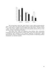 Etninės problemos prekybos organizacijoje 20 puslapis