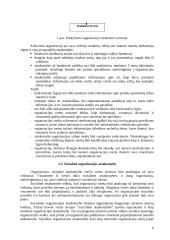 Etninės problemos prekybos organizacijoje 6 puslapis