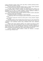 Etninės problemos prekybos organizacijoje 7 puslapis