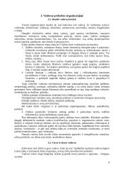 Etninės problemos prekybos organizacijoje 8 puslapis