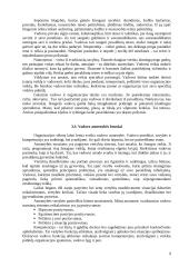 Etninės problemos prekybos organizacijoje 9 puslapis