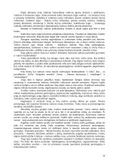 Etninės problemos prekybos organizacijoje 10 puslapis