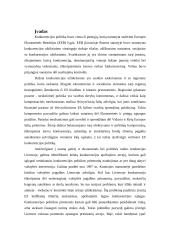 Europa - konkurencinga žiniomis paremta ekonomika 2 puslapis