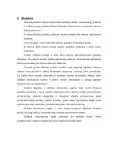 Europa - konkurencinga žiniomis paremta ekonomika 13 puslapis