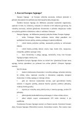 Europa - konkurencinga žiniomis paremta ekonomika 4 puslapis