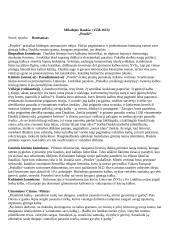 11-12 klasių kūrinių santraukos 2 puslapis