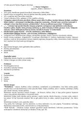 11-12 klasių kūrinių santraukos 13 puslapis