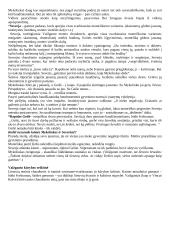 11-12 klasių kūrinių santraukos 14 puslapis