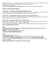 11-12 klasių kūrinių santraukos 16 puslapis