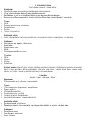 11-12 klasių kūrinių santraukos 17 puslapis