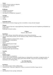 11-12 klasių kūrinių santraukos 19 puslapis