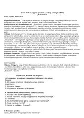 11-12 klasių kūrinių santraukos 3 puslapis