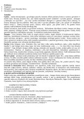 11-12 klasių kūrinių santraukos 5 puslapis