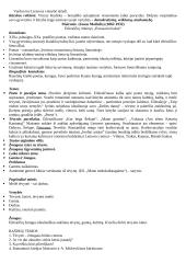 11-12 klasių kūrinių santraukos 9 puslapis