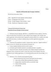 Europos konventas ir Europos sąjungos konstitucija 11 puslapis