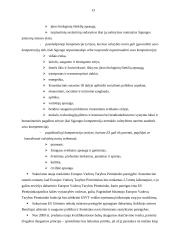 Europos konventas ir Europos sąjungos konstitucija 12 puslapis
