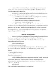 Europos konventas ir Europos sąjungos konstitucija 3 puslapis
