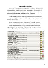 Europos parlamentas ir jo politinis vaidmuo 3 puslapis