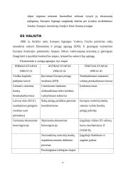 Viskas apie Europos Sąjungą (ES) 4 puslapis