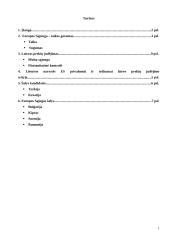 Europos Sąjungos organizacija