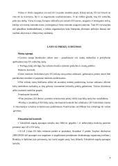 Europos Sąjungos organizacija 4 puslapis