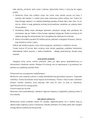 Europos Sąjunga (ES) besikeičiančiame pasaulyje 13 puslapis