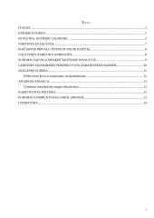 Europos Sąjunga (ES) besikeičiančiame pasaulyje 3 puslapis