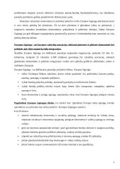 Europos Sąjunga (ES) besikeičiančiame pasaulyje 5 puslapis